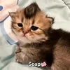 soap_miomarito