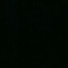 alaniss_444