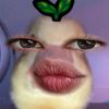 mellysherly08