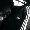 shameleszzz
