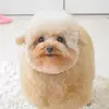 kronen_dog