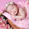 devanya227