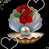 23pihlhjhgj12312