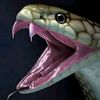 snake_snake24