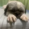 leynmarcelo26
