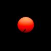 2bleeding_sun4