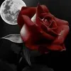 fat_ima567