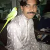 rashidmughal9110