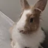 kasiekkk