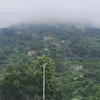 thanhthaotran248