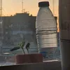 saalamalecon_