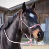 eq_janaa