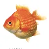 goldfishhans