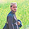nawab_7778