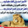 dyyok3dp77wp