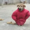 duogkhoi2