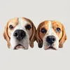 Beagle brothers