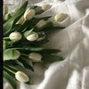 lome_232