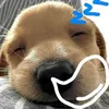 nguyenphamhuyhoang_