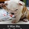 chuckles7053
