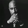 dandipset