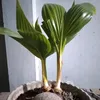 duongminhtuan91
