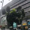_rahma.co