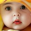 zonidoll03