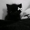 xxxwe_w