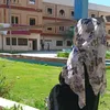 amnah810