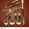 rahimahaidari07