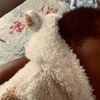 mamabear_281