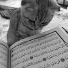 reem__a19