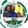 alvaroteixeira225