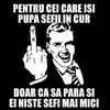 user4829670979512