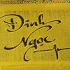 dyqy54n47lk5