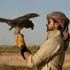 hafedh611