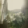 phantrongduong68