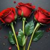user3121826602167