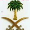 user8013516672436
