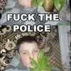 mees_ehv
