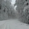 victor_drumev