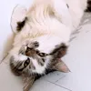 doseofmaggy