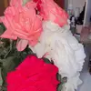 hasna44648