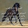 afgyi7