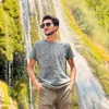 honar799