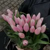 miwellisaa
