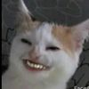 hay_risajaja