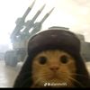 gato_ruso87