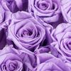 purpleperson00